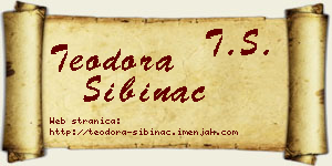 Teodora Šibinac vizit kartica